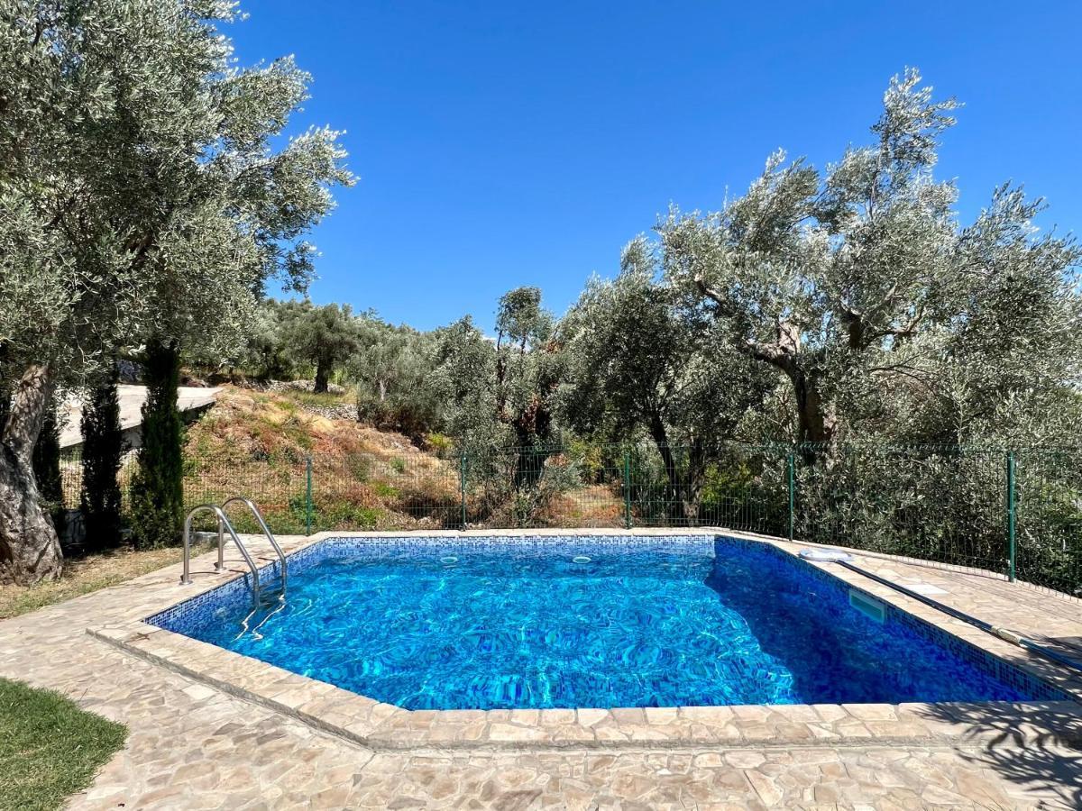 Green Villa In Olives Bar Exteriör bild